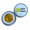 Гель-краска Holy Molly ЗОЛОТО, 5 гр