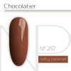 NARTIST гель-лак 257, Salty Caramel 10 g