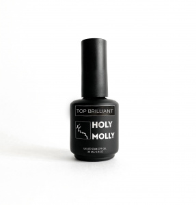 Holy Molly Топ прозрачный без л/с BRILLIANT, 30мл (бутылка с кистью)