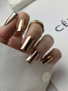 1136 IBDI Пигмент CHROME NUDE 2